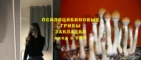 стафф Володарск