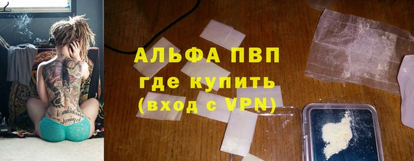 стафф Володарск